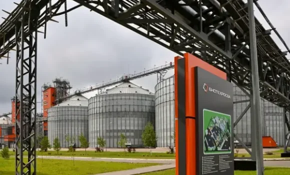 Комплекс глубокой переработки пшеницы